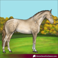 Horse Color:White Spotted Buckskin Tobiano