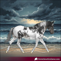 Horse Color:White Spotted Black Tobiano 