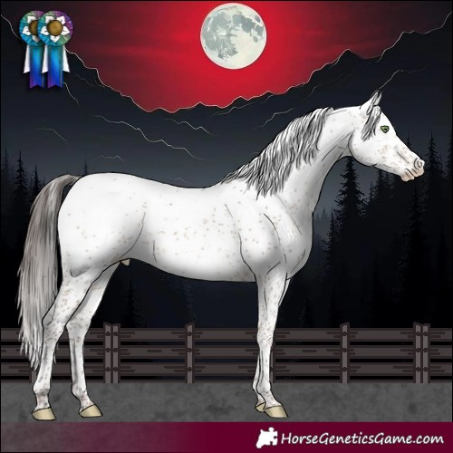 Horse Color:Amber Champagne Sabino Blanket Rabicano 