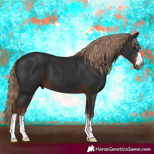 Horse Color:Gray Liver Chestnut 