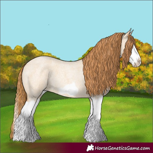 Horse Color:Red Dun Roan Splash Frame Rabicano 