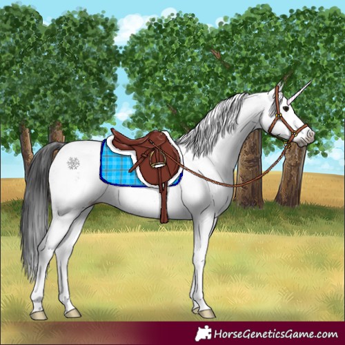 Horse Color:Gray White Spotted Smoky Black Rabicano