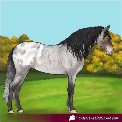 Horse Color:Brown Roan Mushroom Sabino Blanket