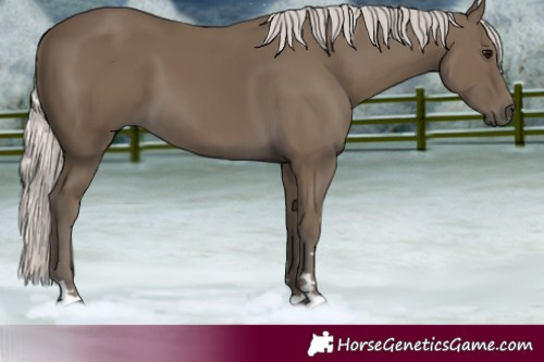 Horse Color:Silver Smoky Black 