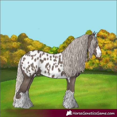 Horse Color:Silver Black Blanket