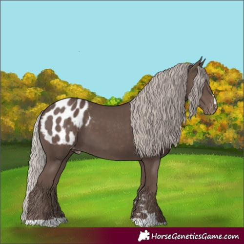 Horse Color:Silver Black Blanket 