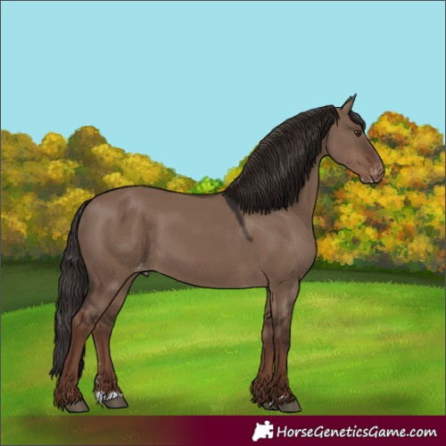 Horse Color:Liver Red Dun Varnish