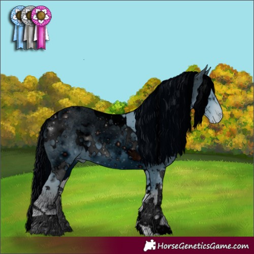 Horse Color:ERROR: UNKNOWN ANOMALY