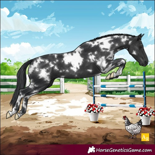 Horse Color:White Spotted Black