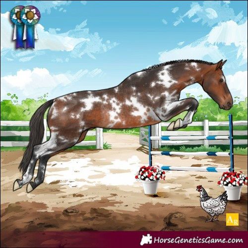 Horse Color:White Spotted Bay Rabicano 