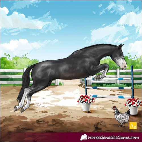 Horse Color:Brown Sabino