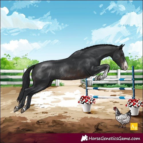 Horse Color:Brown Sabino Rabicano 