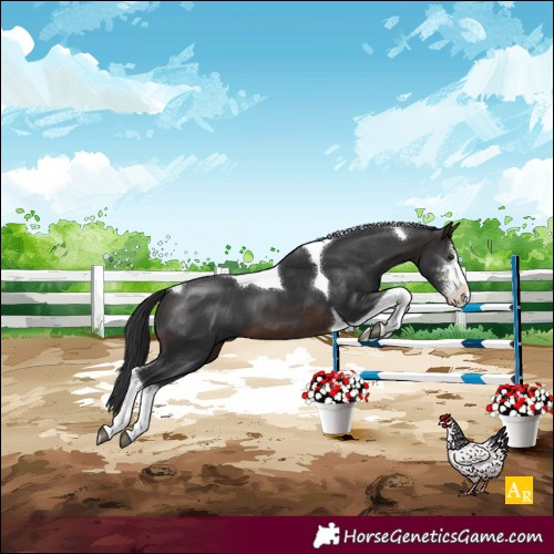 Horse Color:Brown Sabino Tobiano 