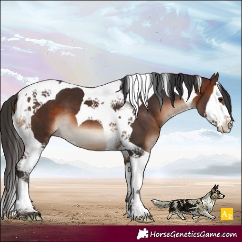 Horse Color:Brown Splash Tobiano