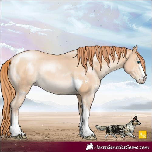 Horse Color:Buckskin Pearl Sabino