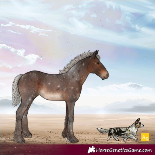 Horse Color:Silver Brown 