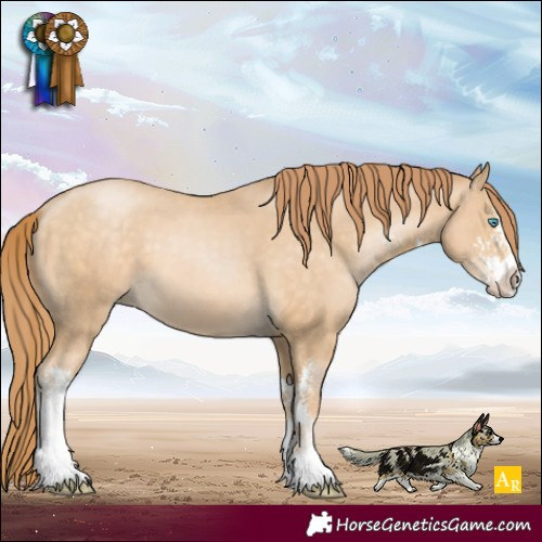 Horse Color:Buckskin Pearl Sabino 