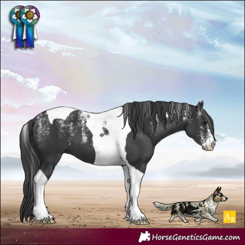 Horse Color:Powder White Black Tobiano