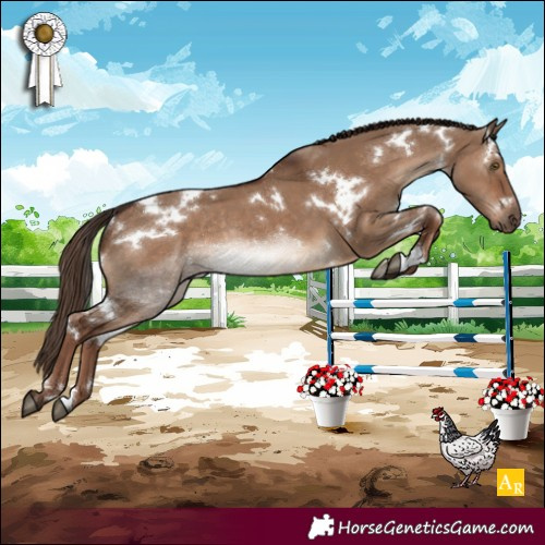 Horse Color:White Spotted Liver Red Dun Rabicano 
