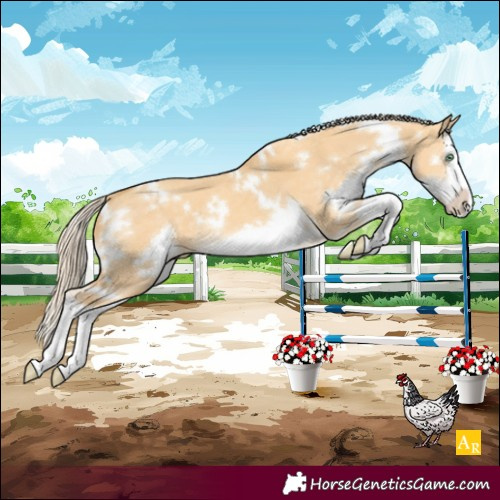 Horse Color:White Spotted Gold Cream Champagne Dun Splash Frame