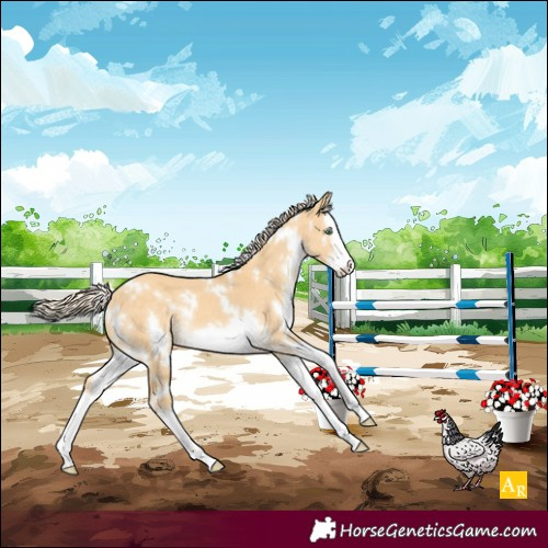Horse Color:White Spotted Gold Cream Champagne Dun Splash Frame