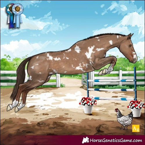 Horse Color:White Spotted Liver Red Dun 