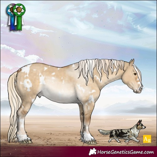 Horse Color:White Spotted Chocolate Palomino Dun