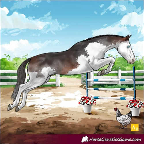 Horse Color:Brown Splash 