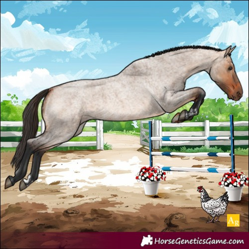 Horse Color:Unknown 