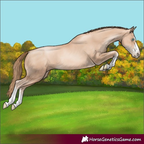 Horse Color:Gold Champagne Pearl Rabicano and Gold Champagne Pearl Rabicano