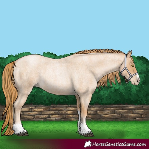 Horse Color:Red Roan Pearl Tobiano Frame 