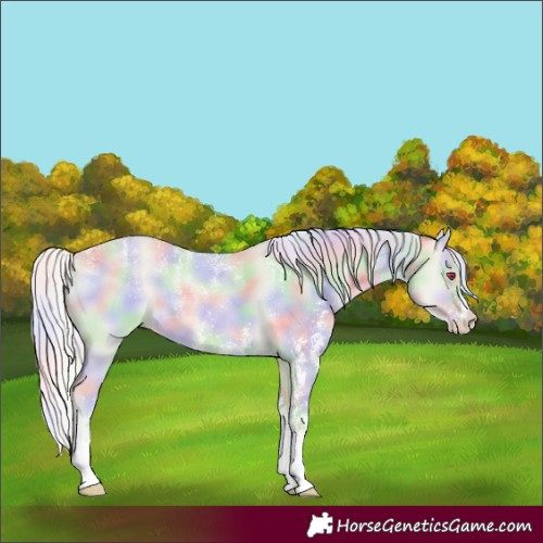 Horse Color:Powder White Nacre Cremello Dun Sabino Rabicano 