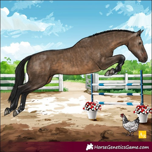 Horse Color:Unknown 