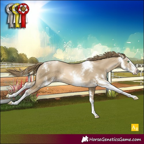 Horse Color:Smoky Black Pearl Sabino 