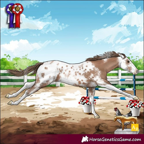 Horse Color:Black Pearl Sabino Blanket 