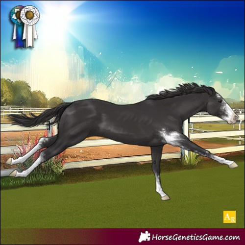 Horse Color:Smoky Black Sabino