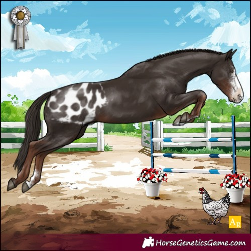 Horse Color:Liver Chestnut Sabino Blanket Rabicano 