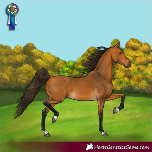 Horse Color:Unknown 
