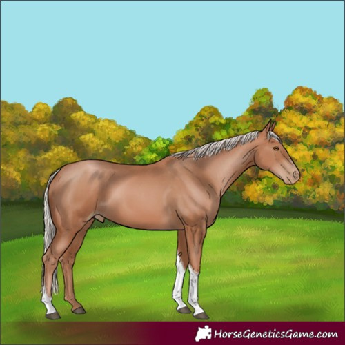 Horse Color:Silver Black Pearl Tobiano 