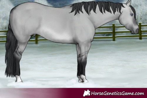 Horse Color:Brown Chinchilla Dun 