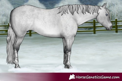Horse Color:Silver Brown Chinchilla Roan Dun Tobiano 