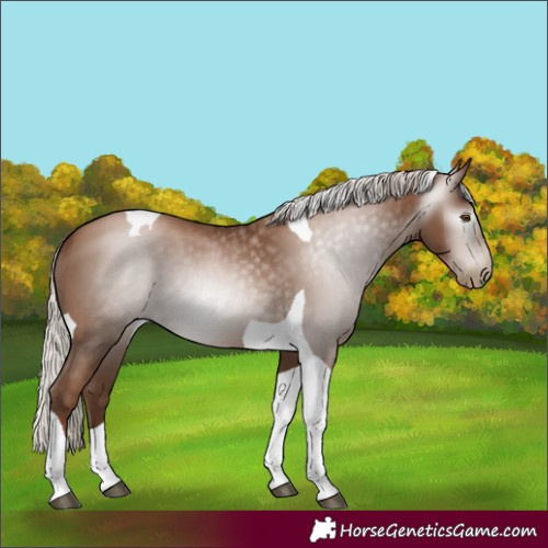 Horse Color:Gray Silver Black Pearl Tobiano 