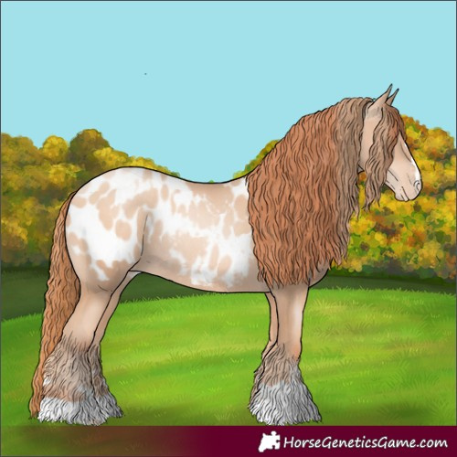 Horse Color:Gold Champagne Pearl Blanket Rabicano  and Amber Champagne Pearl Blanket Rabicano 