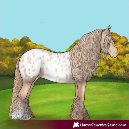 Horse Color:Gold Champagne Pearl Blanket Rabicano and Gold Champagne Pearl Blanket Rabicano