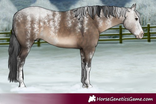 Horse Color:Powder White Brown Dun 