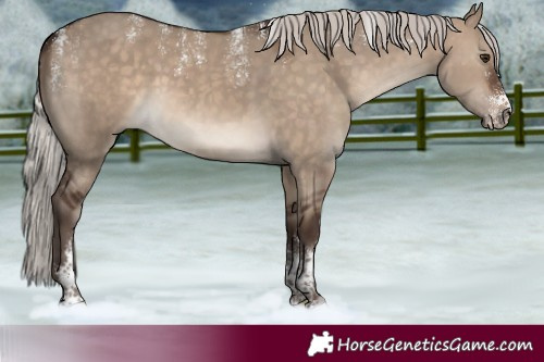 Horse Color:Powder White Silver Brown Dun