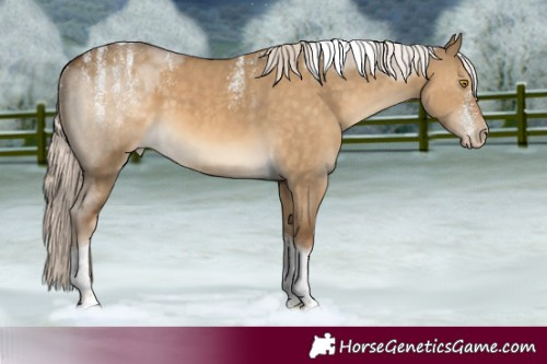 Horse Color:Powder White Pseudo Chocolate Palomino Dun Tobiano Varnish 