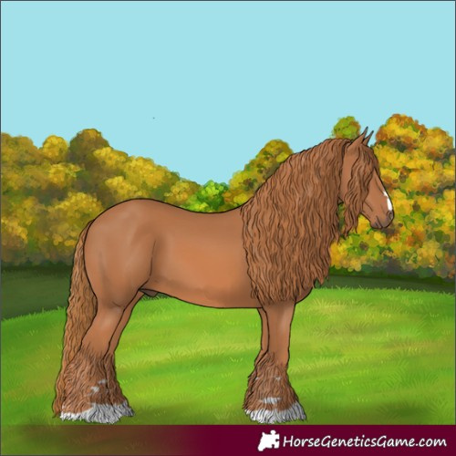 Horse Color:Unknown 
