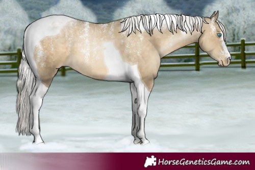 Horse Color:Powder White Silver Smoky Black Tobiano Skewed LP Spotted 