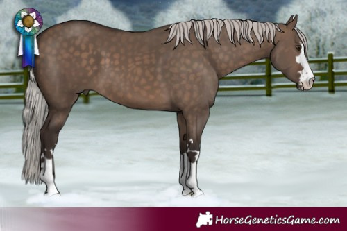 Horse Color:Silver Brown Dun
